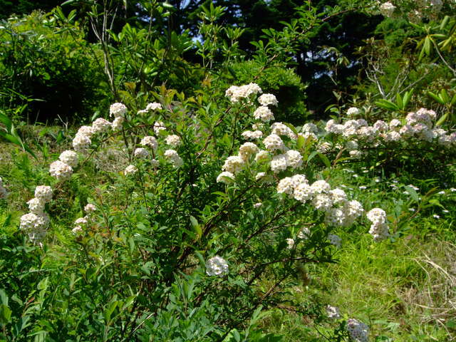f0100593_162192.jpg