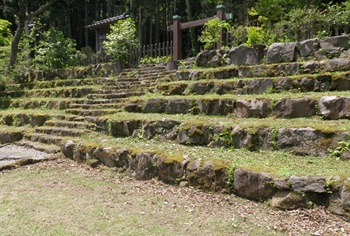 a0138198_1639942.jpg