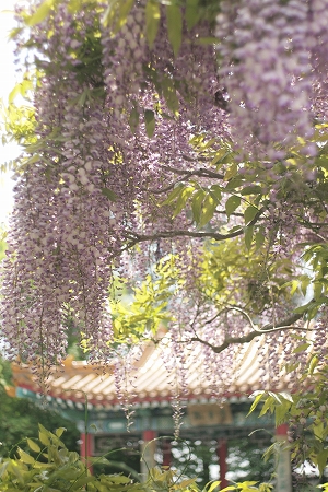 c0202705_2105376.jpg