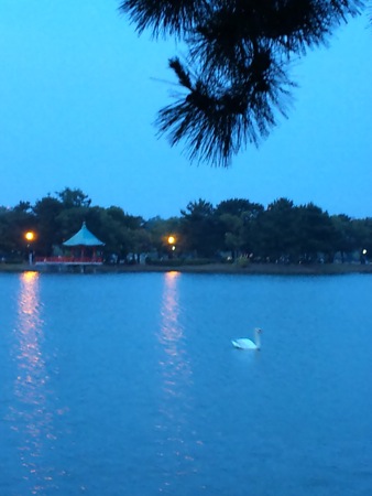 c0114110_9192386.jpg