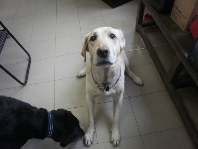 c0116610_17513759.jpg