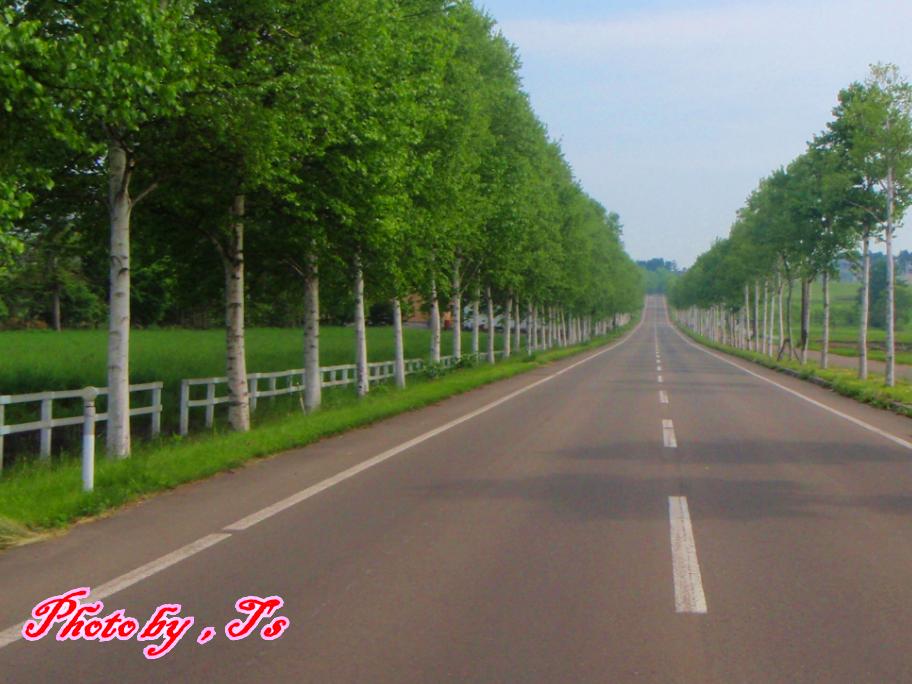 f0147821_14215923.jpg