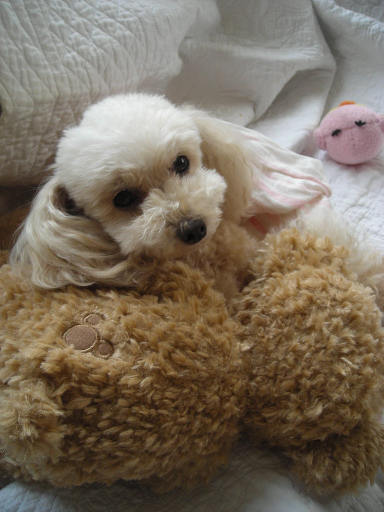 c0149622_13101483.jpg