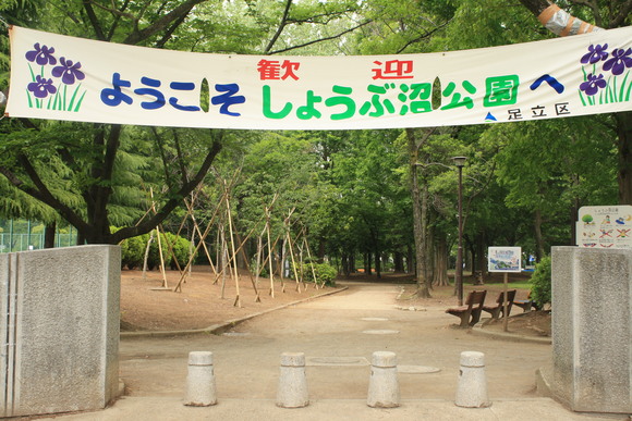 c0087023_18525496.jpg
