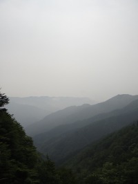 c0189724_2203582.jpg