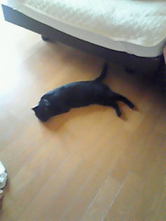 b0094025_8263475.jpg