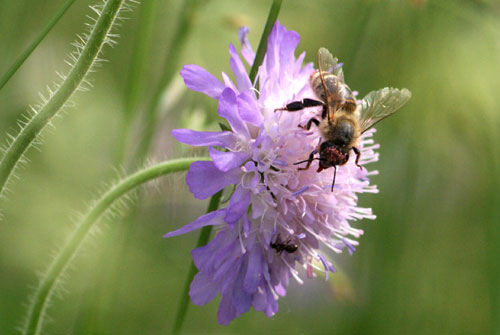 c0184125_2222435.jpg