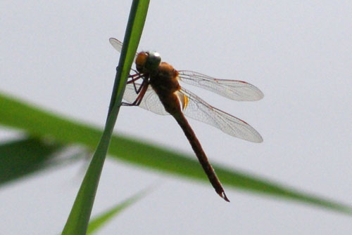 c0184125_22234491.jpg