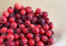 c0157226_1323840.jpg