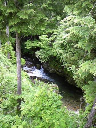 e0195426_1843133.jpg