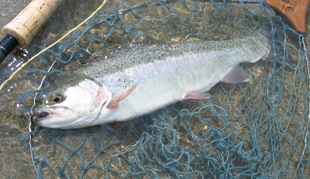 e0150433_1465095.jpg