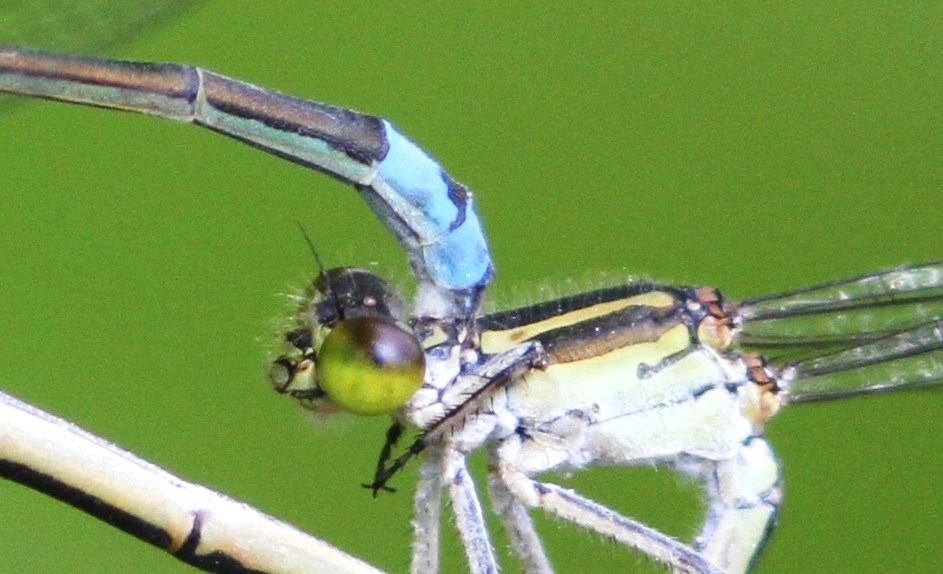 c0172139_11322235.jpg