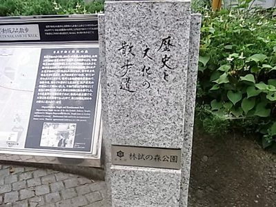 b0019140_1523098.jpg