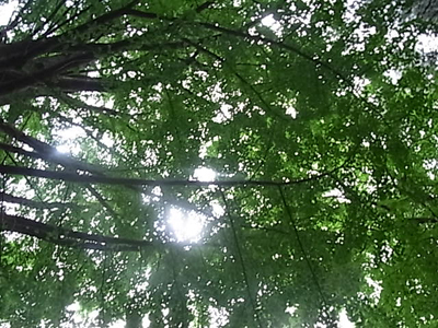 b0019140_1523104.jpg
