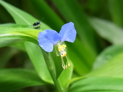 b0019140_154897.jpg