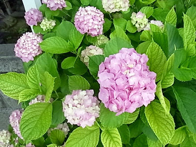 b0019140_1631650.jpg