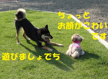 c0211642_19422531.jpg