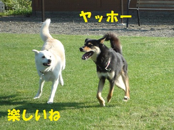 c0211642_2012697.jpg
