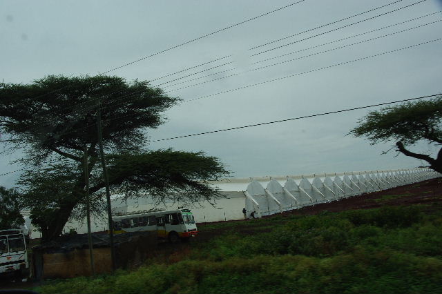 c0011649_5453018.jpg