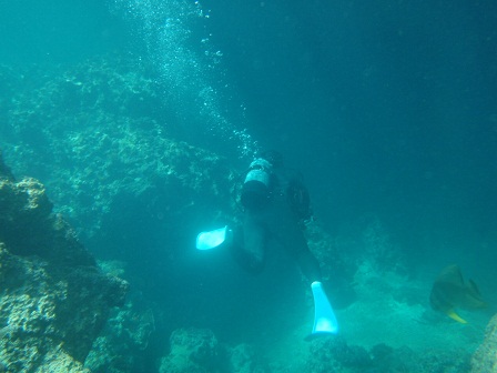f0226658_0411148.jpg