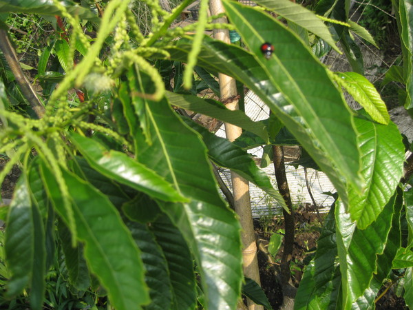 e0232963_120497.jpg
