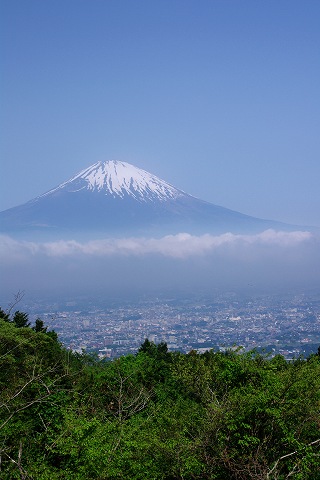 e0045768_2225011.jpg