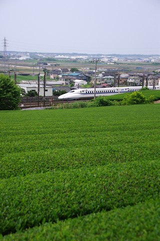 e0045768_22562889.jpg