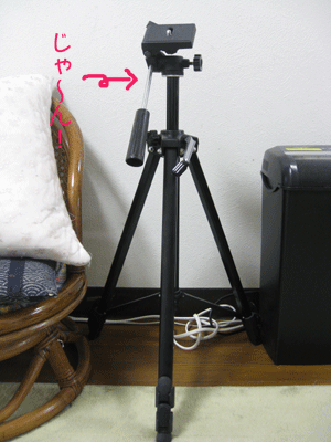 d0050871_10111533.gif