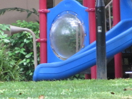 a0002177_13345494.jpg