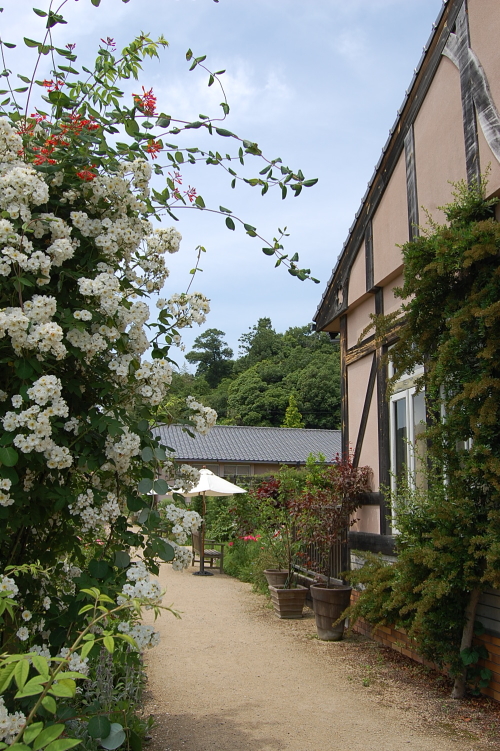 d0179983_19152055.jpg