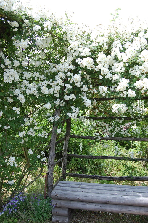 d0179983_19153596.jpg