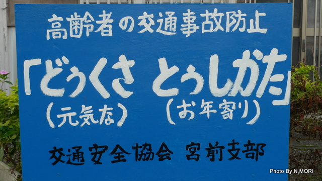 b0115085_7121019.jpg