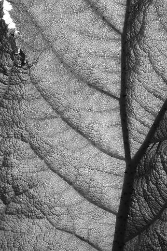 d0162693_22171757.jpg