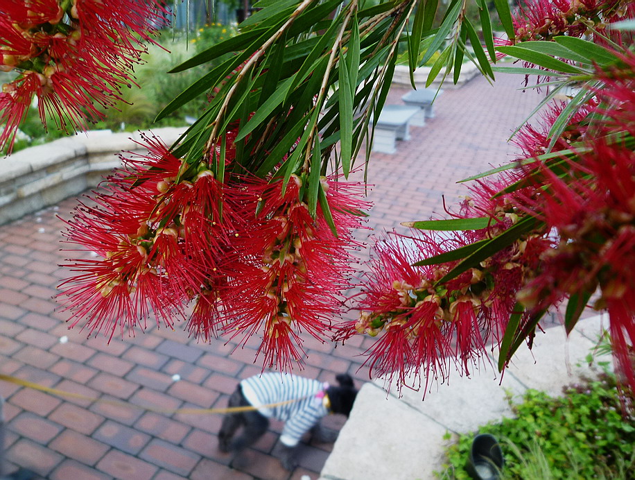 c0138198_82339.jpg