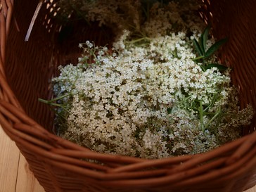 b0110999_0371390.jpg