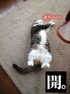 c0035001_1231555.jpg