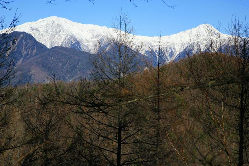 a0188405_1850610.jpg