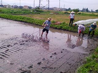 d0184405_2211024.jpg