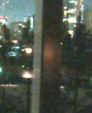 e0103408_1345812.jpg