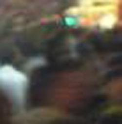 e0103408_13482342.jpg