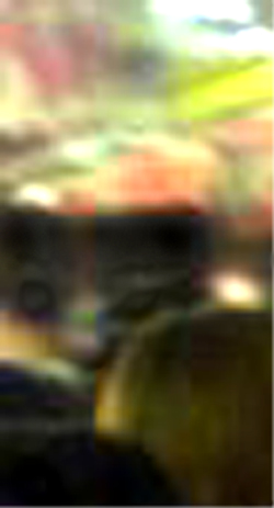 e0103408_13491666.jpg