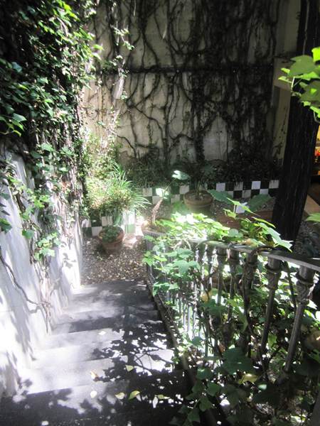 b0064411_33379.jpg