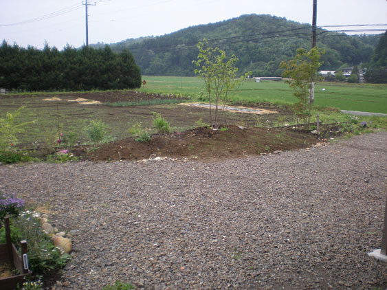 a0193314_1383230.jpg