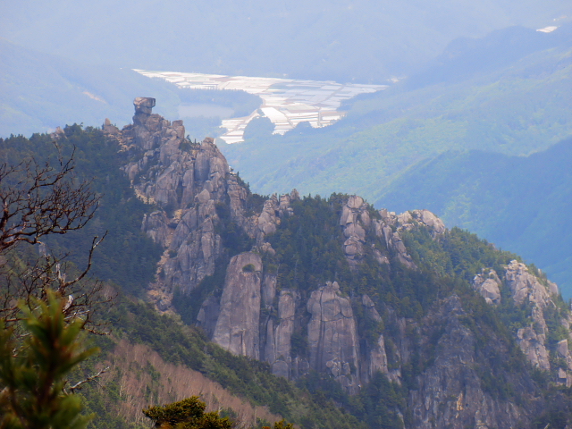 d0170615_8282899.jpg