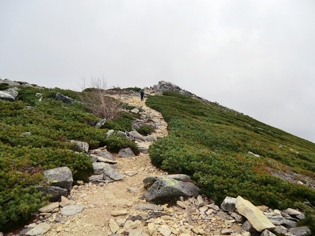 d0170615_830290.jpg