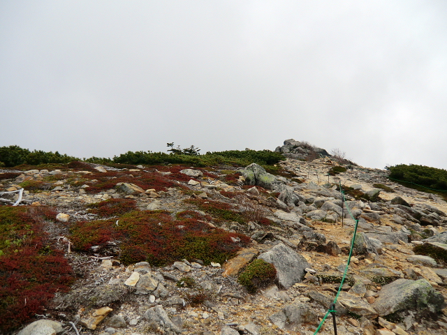 d0170615_8303556.jpg