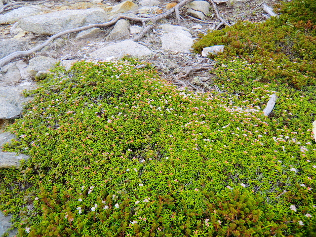 d0170615_8311080.jpg