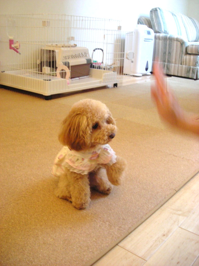 c0149622_22572560.jpg
