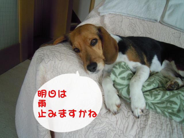 c0166622_7515017.jpg