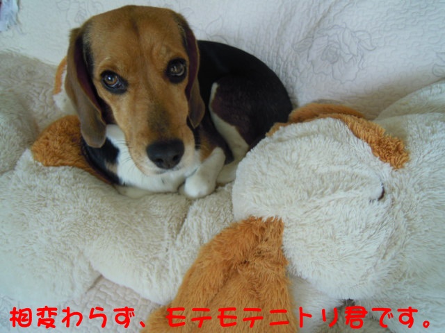 c0166622_7532316.jpg